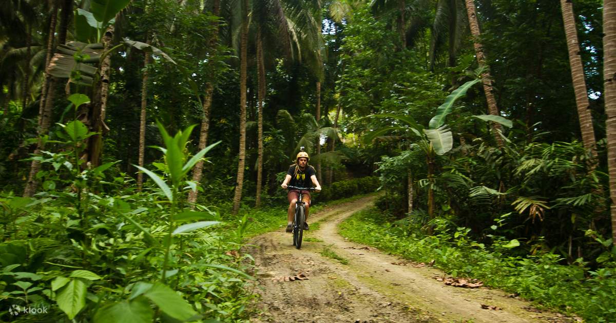 Mountain bike tours near me store